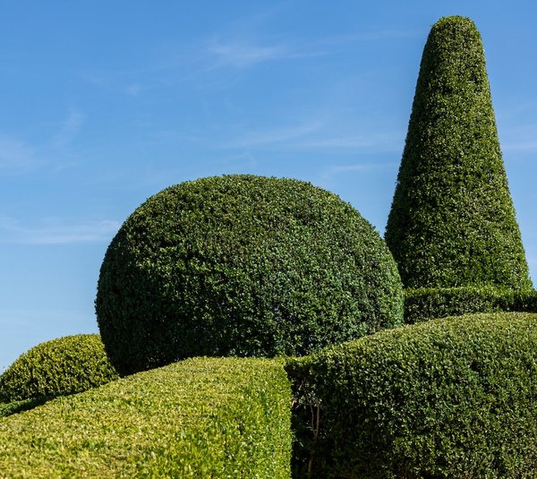 Quels sont les conseils pour créer un jardin de plantes aromatiques dans une petite cuisine ?