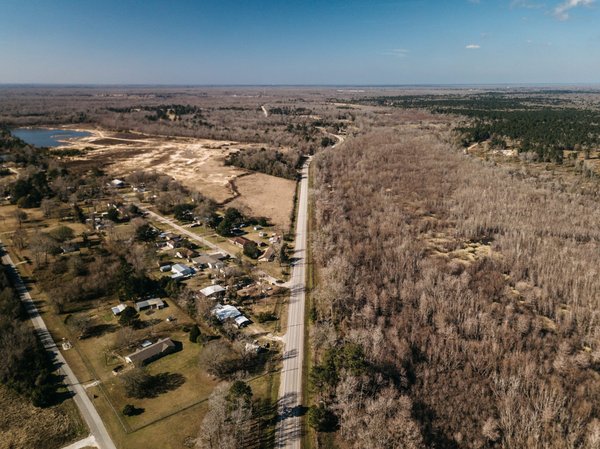 Comment cultiver des plantes carnivores naines en terrarium ?